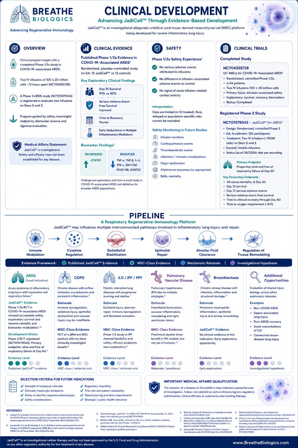 Breathe Biologics Clinical Development and Pipeline infographic summarizing clinical evidence, safety, clinical trials and pulmonary development opportunities.